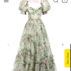 NWT Garden Roses Ritz Dress